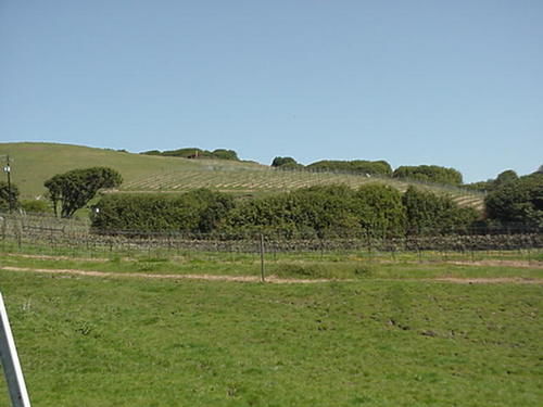 Point Reyes Vineyard Inn California City Exterior photo