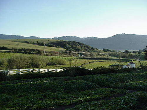 Point Reyes Vineyard Inn California City Exterior photo