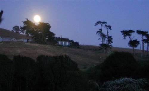 Point Reyes Vineyard Inn California City Exterior photo