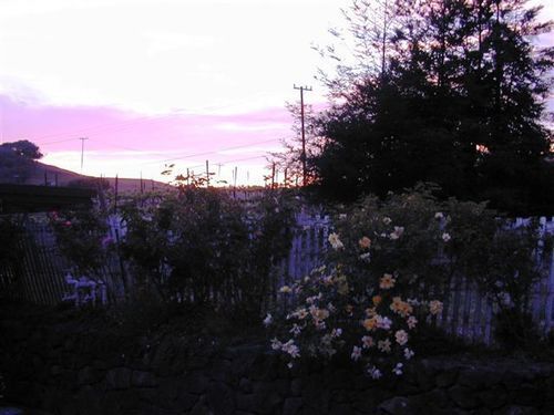 Point Reyes Vineyard Inn California City Exterior photo