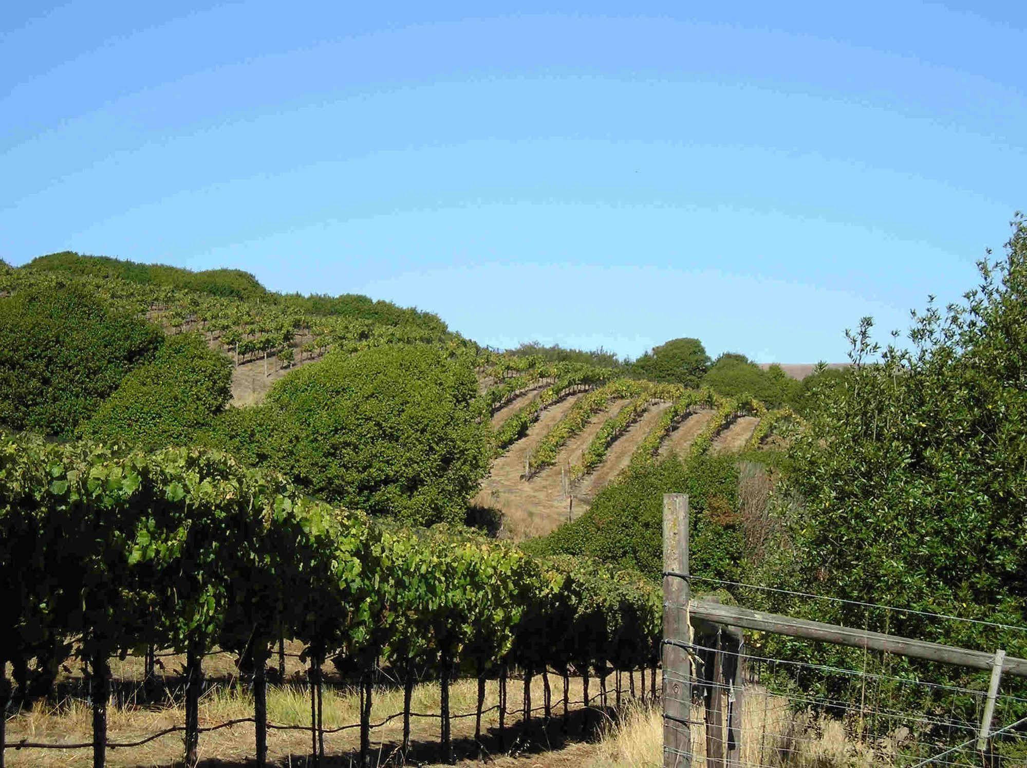 Point Reyes Vineyard Inn California City Exterior photo